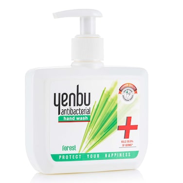 Yenbu Antibacterial Forest Hand Wash 250ml