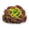 Farm Fresh Lettuce Red Crispy Pack