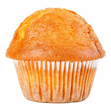 Muffins Plain X1
