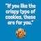 Chips Ahoy Chocolate Chip Cookies Sharing Pack 300G