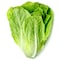 Lettuce Romaine