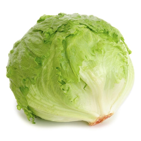 Iceberg Lettuce