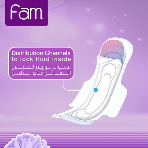Fam Night Sanitary Pads Folded With Wings 48 Pieces