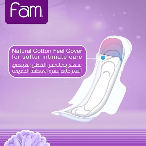 Fam Night Sanitary Pads Folded With Wings 48 Pieces