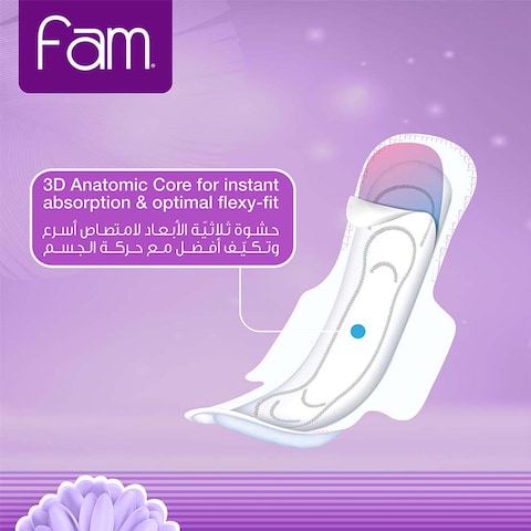 Fam Night Sanitary Pads Folded With Wings 48 Pieces
