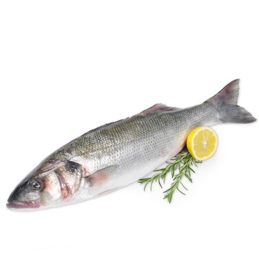 Sea Bass Fish Per Kg