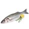 Sea Bass Fish Per Kg