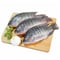 TILAPIA FISH EGYPT KG