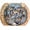BLUE CRAB MALE