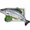 SALMON WHOLE FISH NORWAY KG