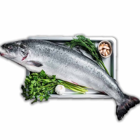 SALMON WHOLE FISH NORWAY KG