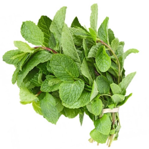 Fresh Mint