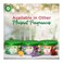 Air Wick Air Freshener Scented Gel, Rose Scent, 70g