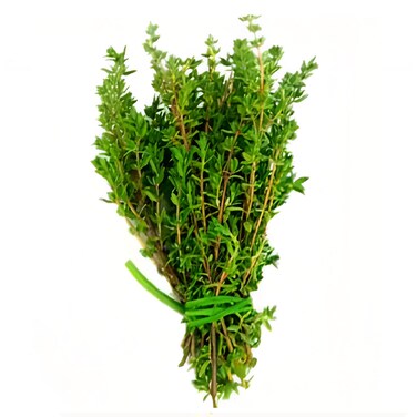 Thyme Pcs