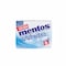 Mentos Gum Blister Sweet Mint 8 Pieces