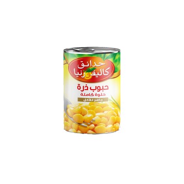 Carrefour Bio Poppy Seeds 100GR