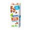 Bjorg Lait D&#39;amande Chocolat Bio 1L
