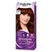 Schwarzkopf Palette Intensive Hair Color Cream With Liquid Keratin 6-80 Marsala Brown  50ML