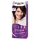 Schwarzkopf Palette Intensive Hair Color Cream With Liquid Keratin 6-99 Intensive Violet 50ML