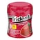 Trident Gum Strawberry Bottle 84GR