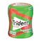 Trident Watermelon Bottle 84GR