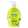 Elsada Antibacterial Mint And Lime Liquid Hand Wash 440ML