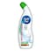 Ambi Pur Fresh Pine Toilet Cleaner 500ml