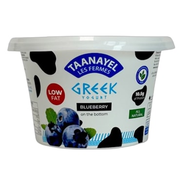 Taanayel Greek Yogurt Blueberry Low Fat 150GR