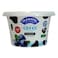 Taanayel Greek Yogurt Blueberry Low Fat 150GR