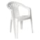 Plastic Chair With Arms
