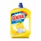 Der General All purpose Cleaner Liquid  New Shine  And Freshness with Stronger Perfume  5L Lemon