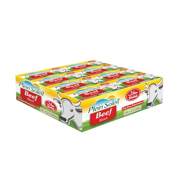 Plein Soleil Beef Stock Cubes 24X20GR