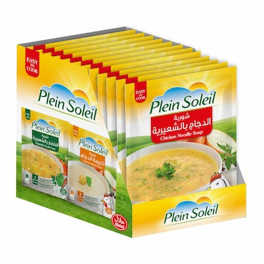 Plein Soleil Chicken Noodles Soup 60GR X12