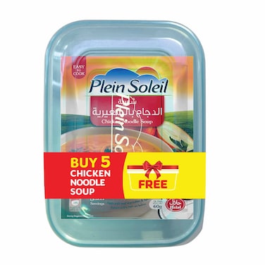 Plein Soleil 5 Chicken Noodle Soup, + Plastic Storage Free