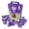 Cadbury Egg Hunt 317GR
