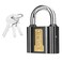 Ingco Iron Padlock 50Mm