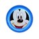 1 Piece Plate One Seasons Mickey