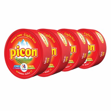 Picon Portion 240GRX4