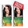 Garnier Color Nature Dark Brown N3 X2