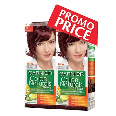 Garnier Color Nat Burgndy 4.6 X2