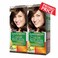 Garnier Color Nature Cinam Chocolate N5.5 X2