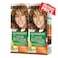 Garnier Color Nature Moccha N6.3 X2