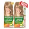 Garnier Color Nature Light Ash Blonde N8.1 X2