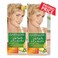 Garnier Color Nature Light Ash Blonde N9.1 X2