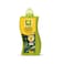 Masso Garden Engrais Plantes Vertes 1L