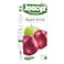 CANDIA JOOCYZ APPLE 1L