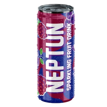 Neptun Carbonated Drink 250ML