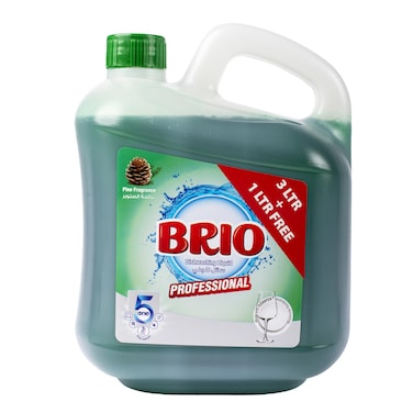 Brio Dish Wash Pine 3L+1L Free