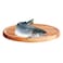 Local Salmon Fish