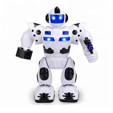 Intelligent Toy Robot